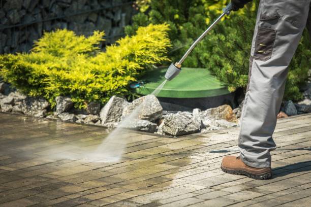 Best Dumpster Area Cleaning  in Kendallville, IN