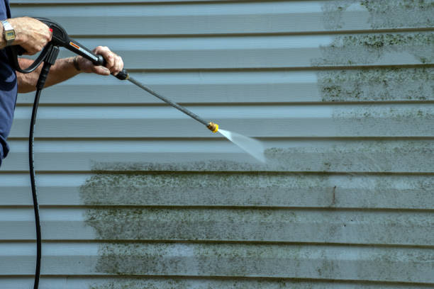 Best Driveway Pressure Washing  in Kendallville, IN